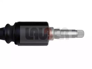 lauber 880129