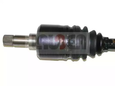 lauber 880244