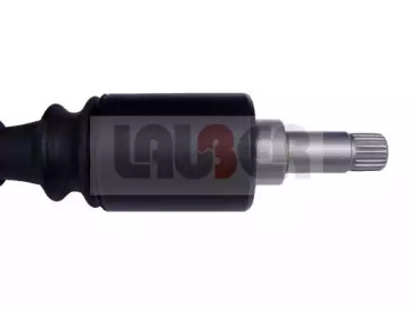 lauber 880459