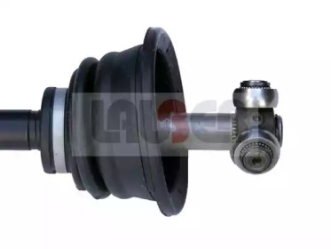 lauber 880603