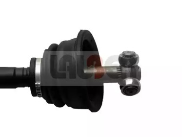 lauber 880617