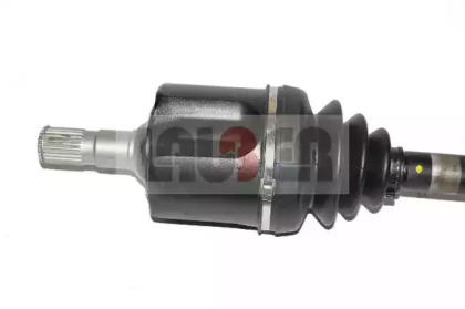 lauber 881158