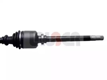 lauber 881308