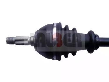lauber 881499