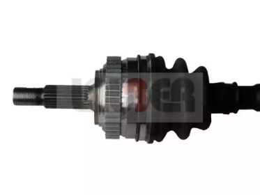 lauber 881584