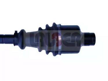 lauber 881652