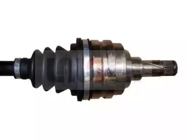 lauber 882078