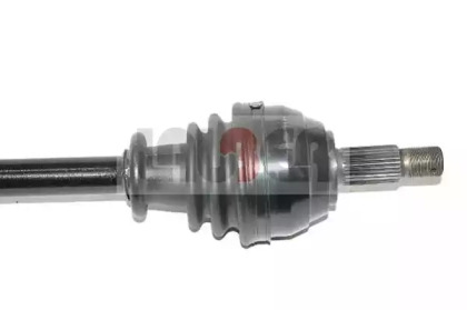 lauber 882484