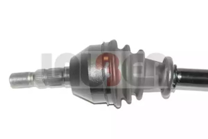 lauber 882496