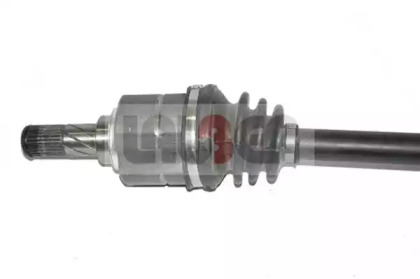 lauber 882576