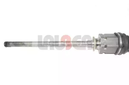lauber 882584