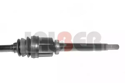 lauber 882625