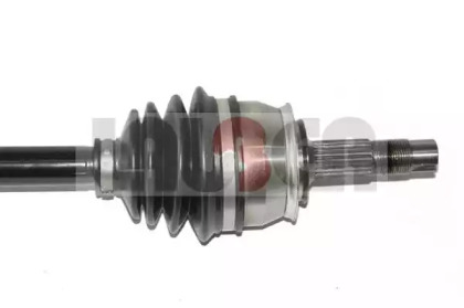 lauber 882650