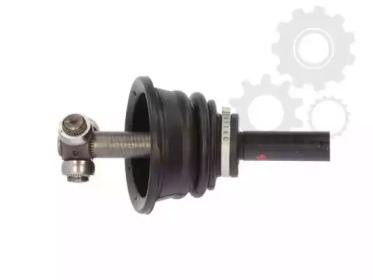 lauber 880315