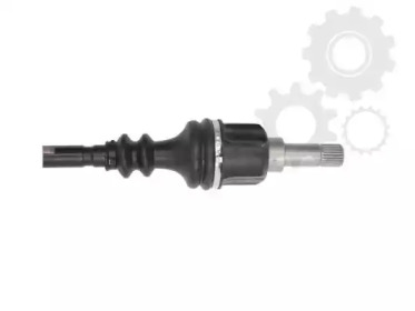 lauber 880423