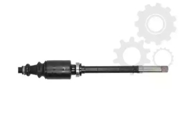lauber 880424