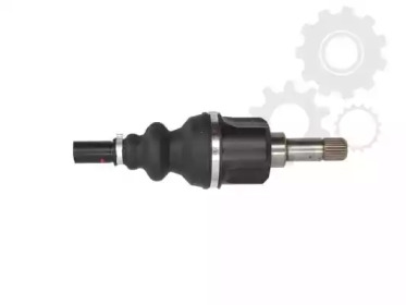 lauber 880425