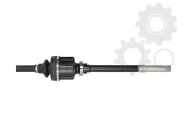 lauber 880431