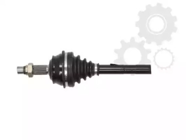 lauber 881254