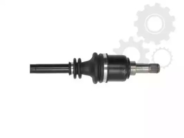 lauber 881254