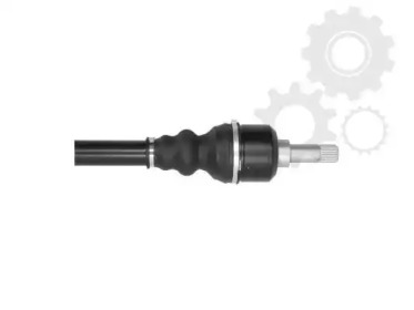 lauber 881552