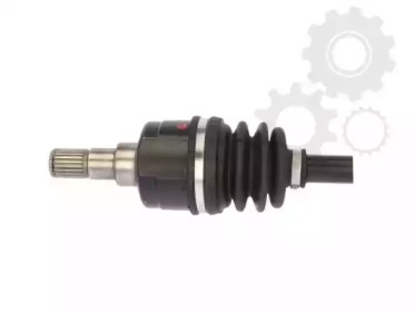 lauber 882072