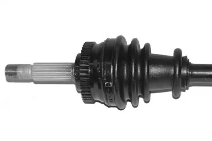 lauber 882696