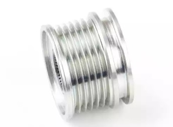 AINDE AF233197