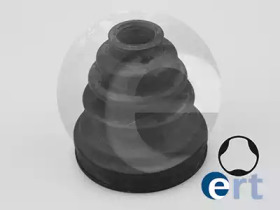 ERT 500181