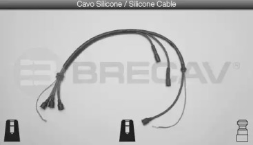 BRECAV 06408