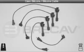BRECAV 33506