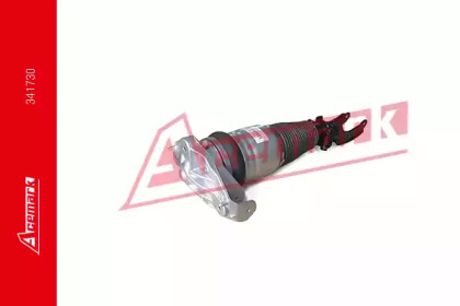 ACEMARK 341730