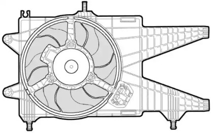 CTR 1209563