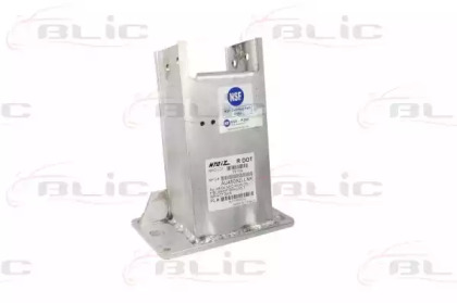 blic 5504000029933p