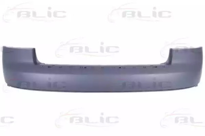 BLIC 5506-00-0019952P BLIC 5506-00-0019952P