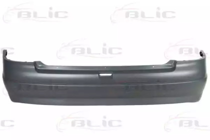 BLIC 5506-00-5051951P