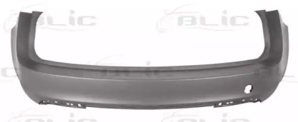 BLIC 5506-00-5079955P