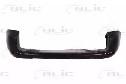 BLIC 5506-00-8179951P
