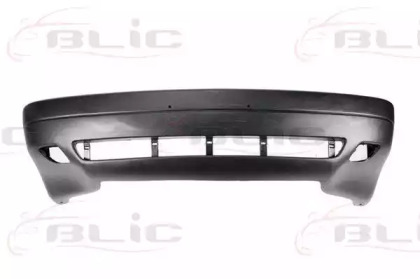 BLIC 5510-00-0016900P