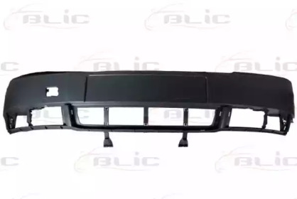 BLIC 5510-00-0019900Q