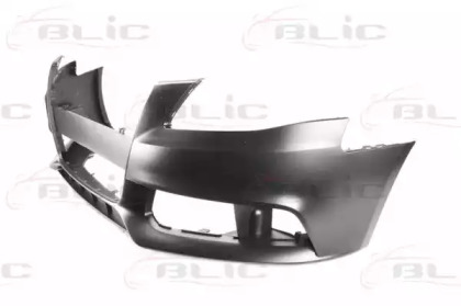 blic 5510000029902p