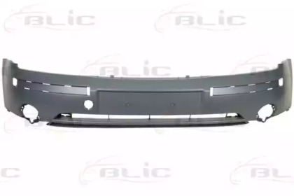 blic 5510002555900p