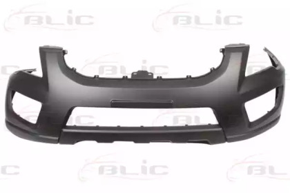 BLIC 5510-00-3290900P