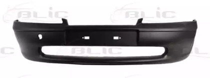 BLIC 5510-00-5077900Q