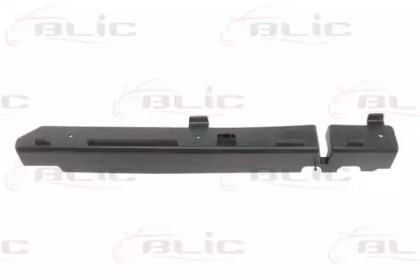 BLIC 5510-00-6009925P