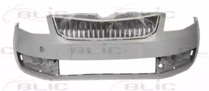 BLIC 5510-00-7522900P