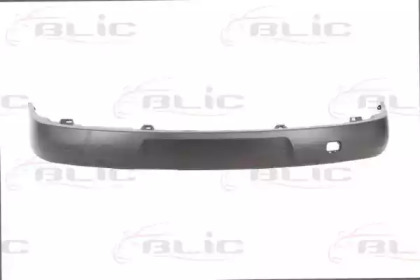 BLIC 5510-00-9504900P