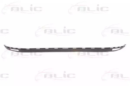 BLIC 5511-00-1310220P