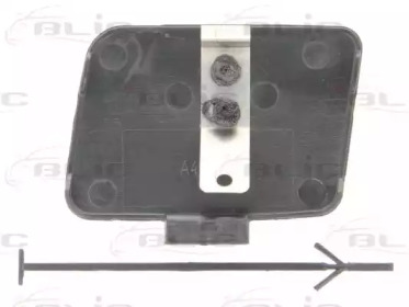 blic 5513000019920p