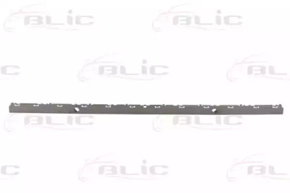 BLIC 5513-00-00659717P